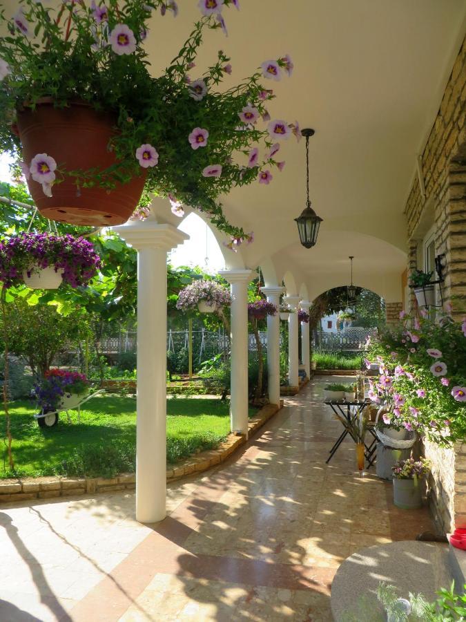 Beach Apartment Roza Biograd Oneroom - Premium Location Biograd Na Moru Εξωτερικό φωτογραφία