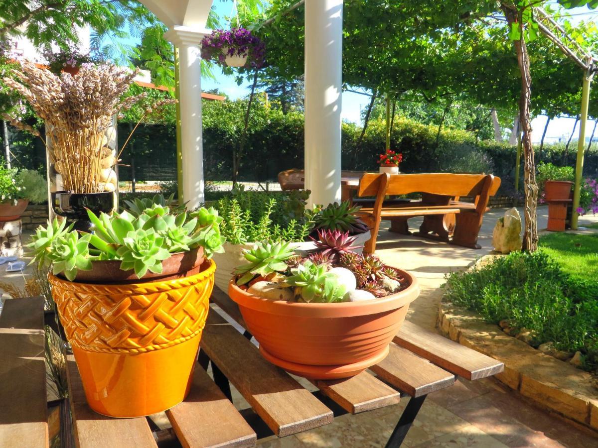 Beach Apartment Roza Biograd Oneroom - Premium Location Biograd Na Moru Εξωτερικό φωτογραφία