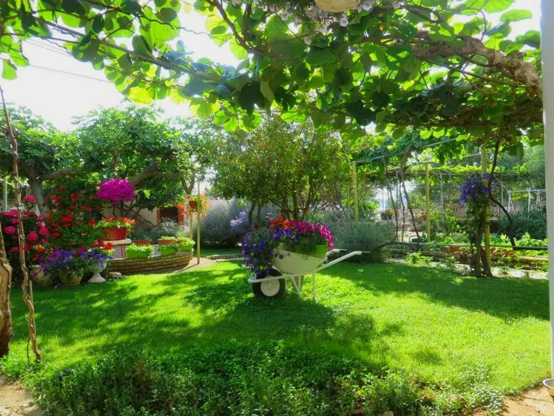 Beach Apartment Roza Biograd Oneroom - Premium Location Biograd Na Moru Εξωτερικό φωτογραφία