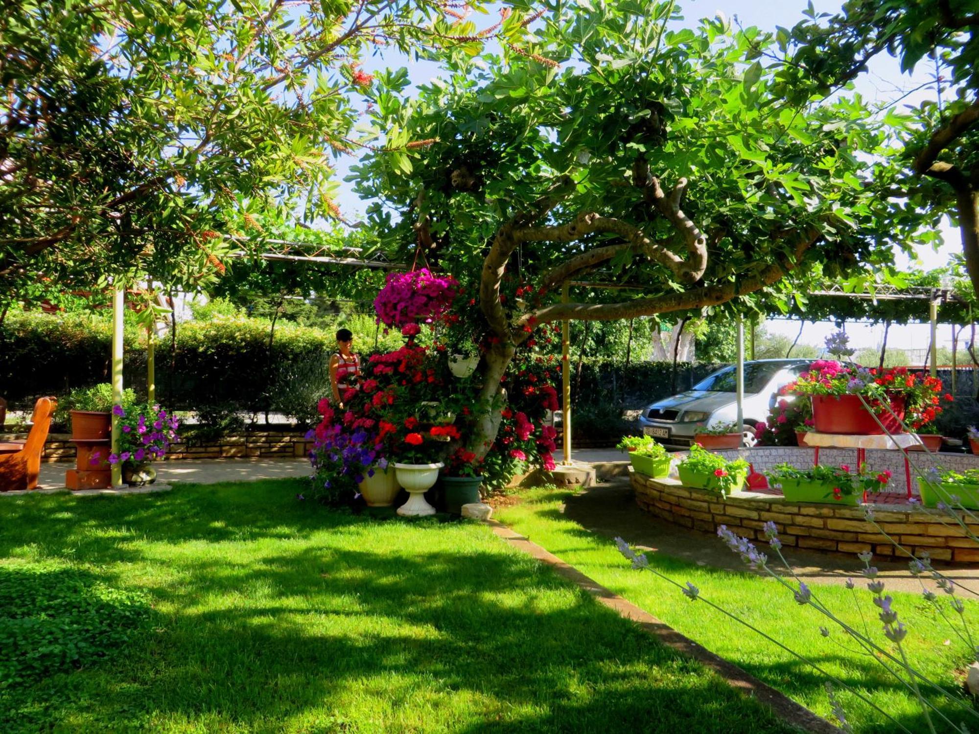 Beach Apartment Roza Biograd Oneroom - Premium Location Biograd Na Moru Εξωτερικό φωτογραφία